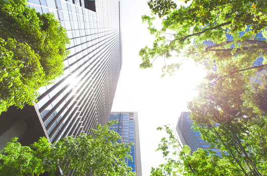 Study takes 10-year look at green building payoff